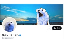 「親方かわいすぎるw」宝富士と人気キャラ・パペットスンスンの親友が“激似”と話題！意外な共通点に12万いいね