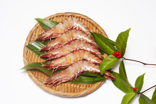 意外と知らないエビの「天然」と「養殖」の見分け方は“背ワタ”の色？ エビの種類と栄養を解説