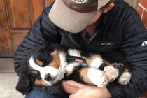 「まさか気絶してる？」大物すぎる子犬の“塩対応”は信頼の証？