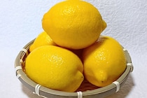 皮ごと食べられる「国産レモン」があったら絶対作って！ 栄養士が教える「レモンカード」の失敗しない作り方