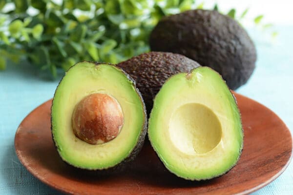 【アボカドの栄養】メキシコで豊作！価格がお手頃になった「アボカド」に注目！森のバターの由来は？栄養士が教える最強の食べ合わせ
