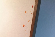 【悲劇】娘を助けようとしたパパの “優しさ” が一転…　「事件現場のような惨状」に。 9.9万いいねを集めた、あまりに切ない画像