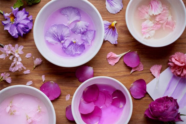 【青山フラワーマーケット】“旬の草花” で染める、ファブリック商品。 第1弾は 「桜」と「パンジー」のタオルハンカチ(全2種)