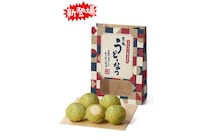【丸亀製麺】“もっちもち食感”「うどーなつ」に抹茶が登場！ 京都・宇治の老舗「堀田勝太郎商店」の抹茶をぜいたくに使用した一品