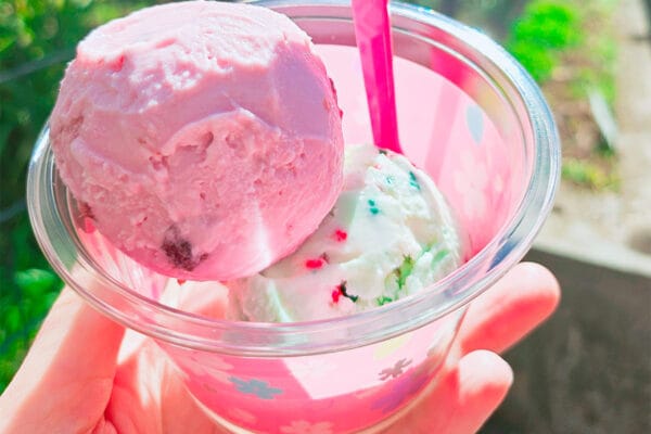 【サーティワン】一番人気めぐり、SNS紛糾？　《フレーバー総選挙》の中間順位に…　「“推し味”広めたい」「投票迷う」