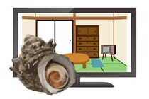ご長寿アニメ【サザエさん】、令和の10代 “ぬぐえない違和感” とは　「髪型が異常」「エンディングの家」…　本音さまざま
