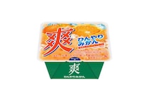 ロッテ「爽 ひんやりみかん」シャリシャリ食感と"みかん3個分のビタミンC"が夏にうれしい新作アイス