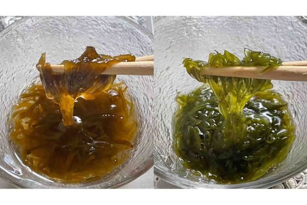 【激似フード】「もずく」と「めかぶ」…どっちがダイエット向き！？栄養的な違いと効果的な食べ方を栄養士が解説！
