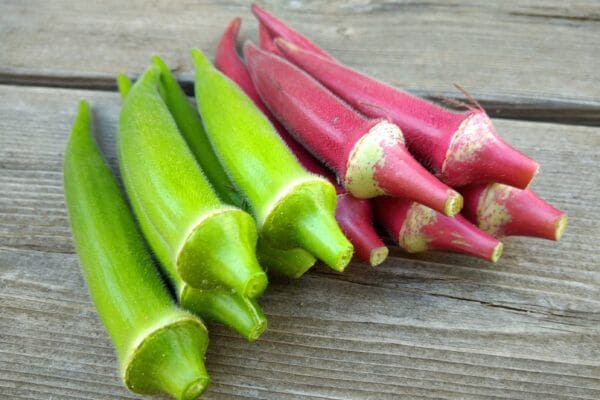 【野菜クイズ】赤オクラ。ゆでると“赤色”？“緑色”？　カゴメ公式の出題に　「勉強になります！」「答えが分かってスッキリ～」