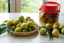 【梅仕事】まだ間に合う！？6月下旬から滑り込む「梅酒」「梅シロップ」のレシピを栄養士が解説
