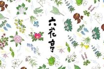 【そっくり？】「とんでもない既視感w」　女性アパレルの “パンツ” が「《六花亭》すぎる」と話題に…　「コラボかと思った」」の声