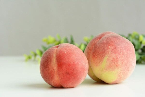 「神テク」「皮もつるん」傷みやすい“桃”一カ月保存する方法を冷食大手が指南！「食べるのが楽しみ」SNS絶賛