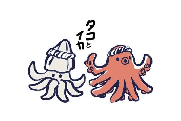 「タコとイカ、どっちが健康的!?」栄養士が教える違いとおすすめの食べ方