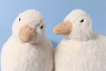 「カモ…欲しいカモ」　アヒル＆カモそっくり “スリッパ” に　「やばいかわいいwww」「汚れても捨てられない」悶絶の声