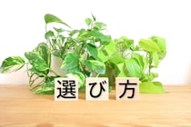 S造とは？構造の特徴、メリットとデメリットを解説