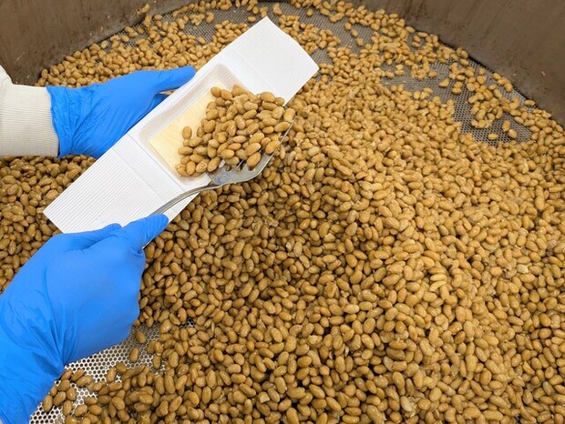 職人さんが手で盛り付けています