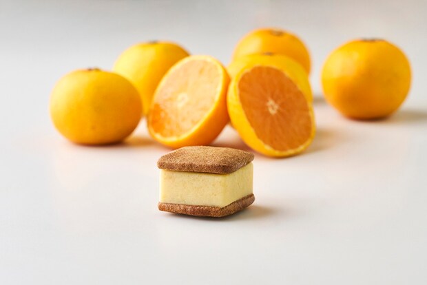 まるごと有田みかん(季節限定・和歌山フレーバー) 320円(税込)