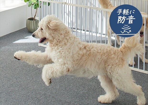 フローループ　防音