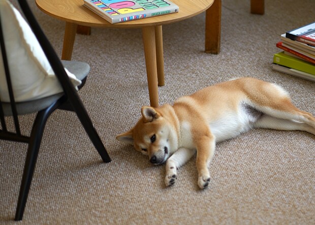 高性能な防音＆超軽量！日本製タイルカーペット「フローループ」洗濯機で丸洗いOKでお手入れも簡単