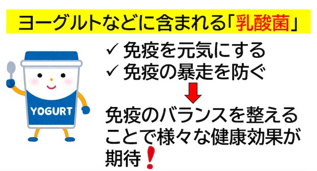 短鎖脂肪酸が免疫力のカギ？食物繊維と乳酸菌で整える腸のチカラヨーグルト　乳酸菌