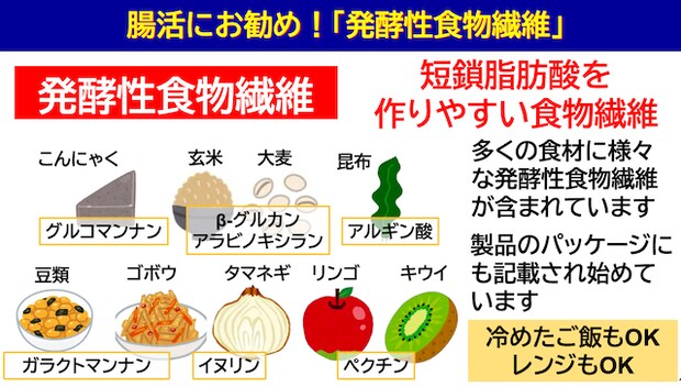 短鎖脂肪酸が免疫力のカギ？食物繊維と乳酸菌で整える腸のチカラ発酵性食物繊維