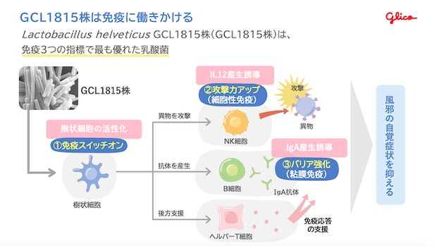 短鎖脂肪酸が免疫力のカギ？食物繊維と乳酸菌で整える腸のチカラGCL18153つの指標