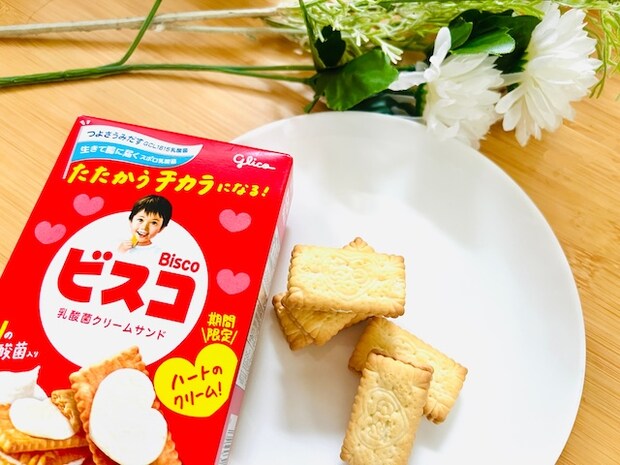 短鎖脂肪酸が免疫力のカギ?食物繊維と乳酸菌で整える腸のチカラビスコ