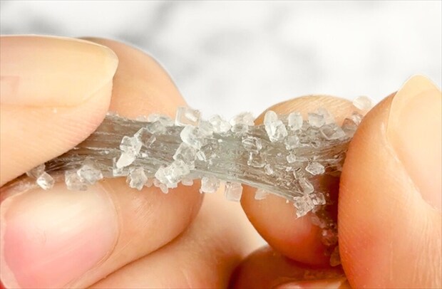 弾力がすごい！　なかなかちぎれません……