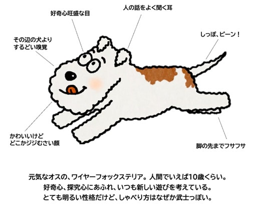 サムティ君概要