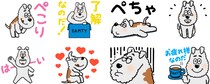 【無料LINEスタンプ配布】元気で明るいワンちゃん「サムティくん」の動くスタンプ全8種