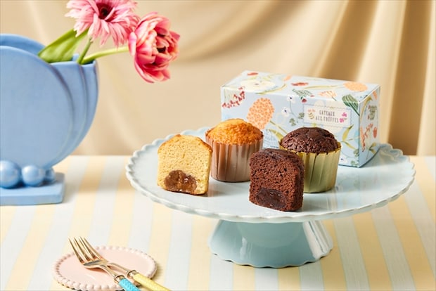 トリュフケーキ＆ガトー・オ・マロン