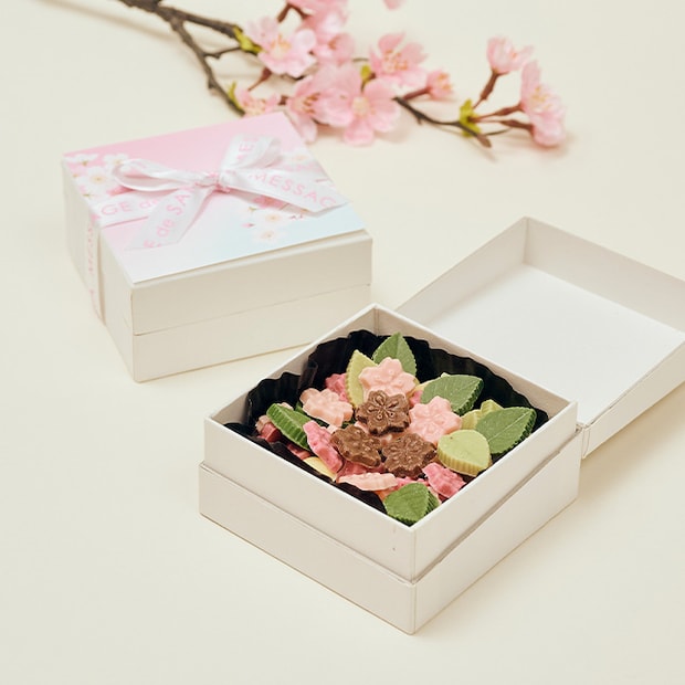 【春チョコ発見♡】チョコレートブランド「メサージュ・ド・ローズ」から桜モチーフの季節限定チョコレートが登場だよ