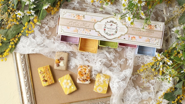 春がやってきた♡マーガレットモチーフの限定ラスクが新発売♪｜CAFE OHZAN＜カフェオウザン＞