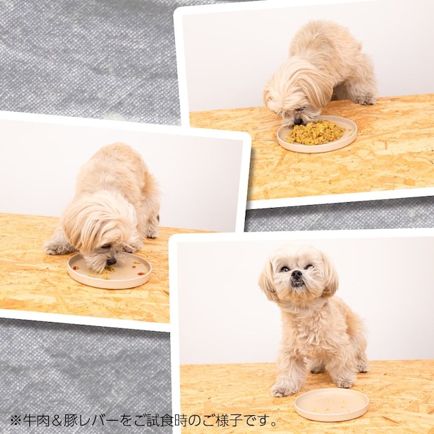 新しいごはんの試食中
