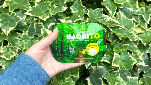 KAORITO　小さめサイズ
