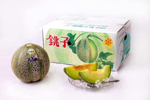 【オンライン購入可】今年もこの季節がやってきた！幻のメロン「銚子メロン」6月1日から出荷開始♪