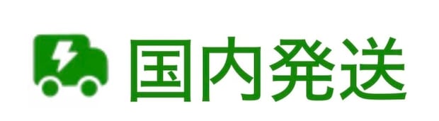 TEMU　国内発送
