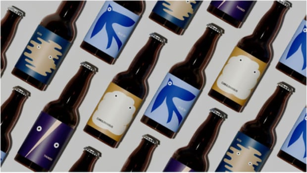 家でも“空と海”を感じる一杯を。SHIBAURA BREWINGが贈る4つの味わい