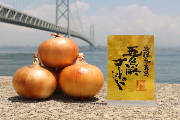 ちりめんじゃこで育てた「淡路島玉葱 五色浜ゴールド」ってどんな味?