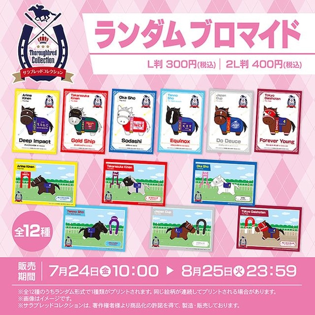 サラブレッドコレクション ブロマイド<br /><br />