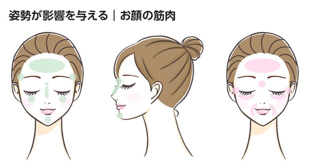 姿勢が影響を与える｜お顔の筋肉
