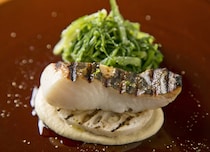 ≫本場に学んだシェフが紡ぐ、力強くも繊細なイタリア料理｜大阪・四ツ橋【イタリア料理店　TAMANEGI】