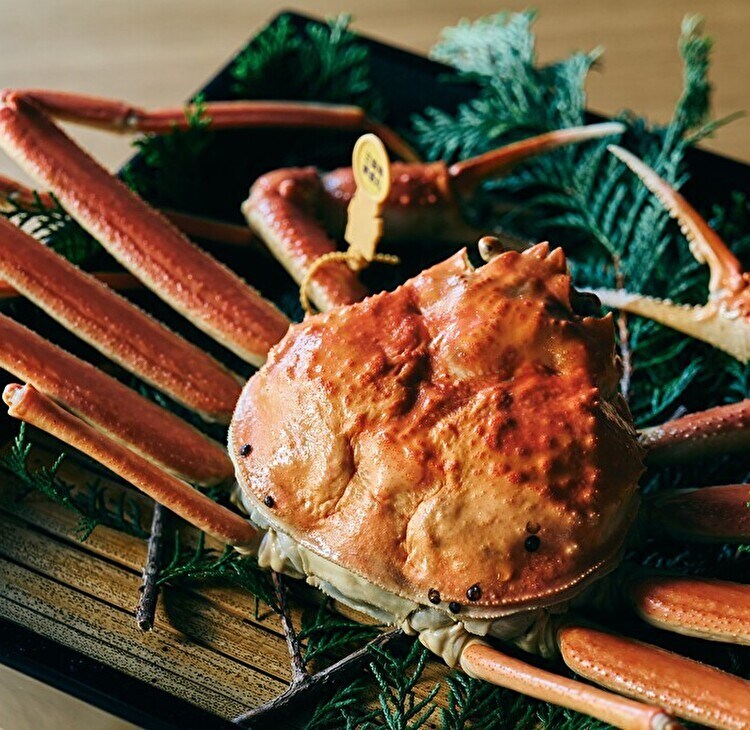 越前がにの季節! 美食と温泉を楽しむ福井県坂井市への旅