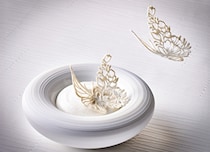 丁寧に味わいたい理由がある。【CREATERNA】シェフの「創造し続ける料理」とは｜三宿・池尻大橋