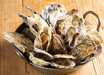 大阪で生牡蠣食べ比べ！馬肉や和牛と楽しむ進化系牡蠣メニューが評判の5軒