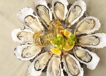 ≫濃厚な旨みあふれる牡蠣が堪能できるお店5選