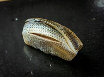 ≫すでに予約困難！ 名店出身の若手がオープンした江戸前寿司【鮨処やまと】築地