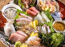 ≫全国の漁師と直結し、魚本来の旨みを至極の一皿に！ ｜ 【四十八漁場　内幸町店 】新橋/汐留