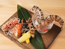 ≫名古屋に訪れたら足を運ぶべき、記念日や接待に訪れたいレストラン5選