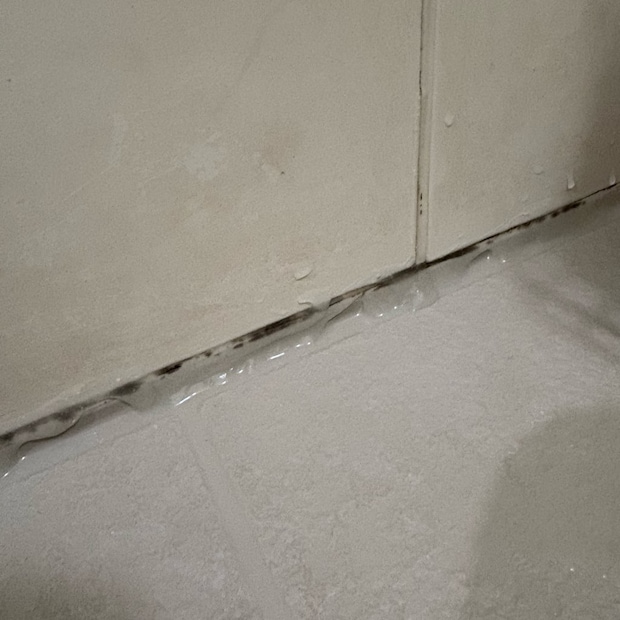 カビホワイトカビ除去ジェルお掃除お風呂掃除カビ取りカビ掃除